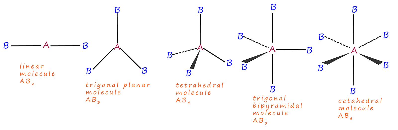 basic outlines of molecular shapes